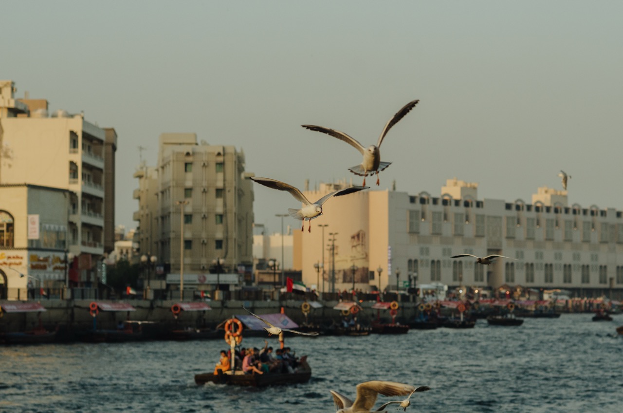 Превью Dubai 2022